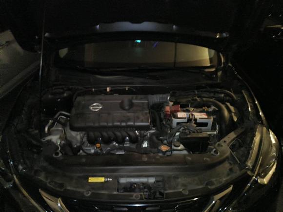 [成都·川A] 二手日产轩逸2016款 1.6XL CVT豪华版