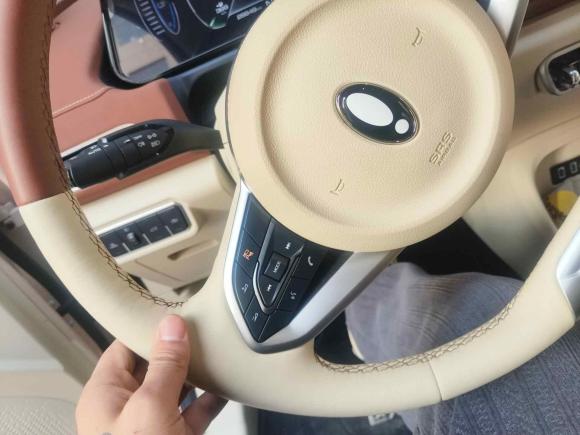 [义乌·浙G] 二手欧拉欧拉好猫2022款 400km标准续航 尊贵型 磷酸铁锂