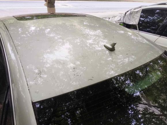 [上海·浙F] 二手奥迪奥迪A6L2016款 TFSI 技术型