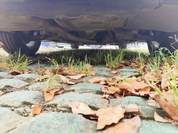 [上海·沪A] 二手宝马宝马5系2014款 525Li 豪华设计套装