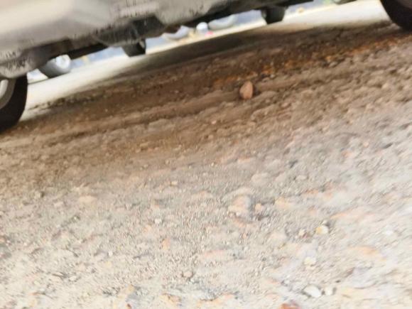 [青岛·鲁B] 二手丰田威驰2017款 1.5L CVT创行版