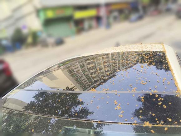 [佛山·粤E] 二手大众一汽-大众CC2015款 2.0TSI 至尊型