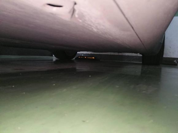 [佛山·粤A] 二手特斯拉Model Y2021款 标准续航后驱版