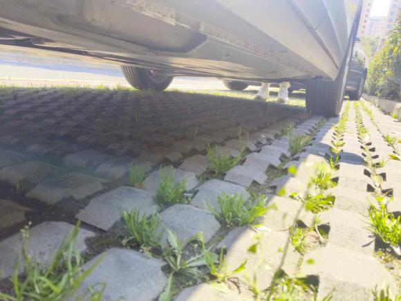 [上海·苏E] 二手大众途铠2019款 1.5L 自动舒适版