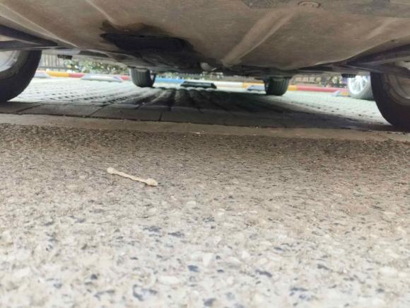 [武汉·鄂A] 二手宝马宝马X12016款 sDrive18Li 尊享型