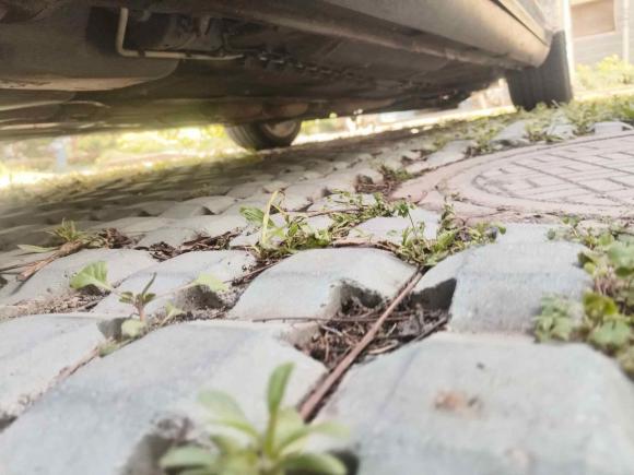 [嘉兴·贵C] 二手大众辉腾2011款 3.6L V6 5座加长舒适版