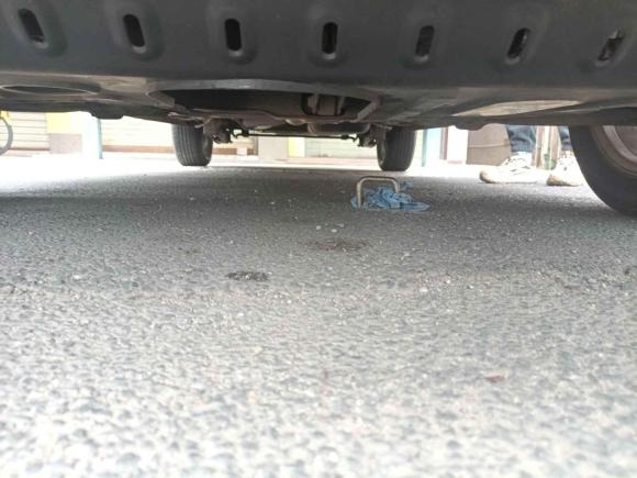 [深圳·粤S] 二手北汽幻速北汽幻速H32016款 H3F 1.5L 手动豪华型