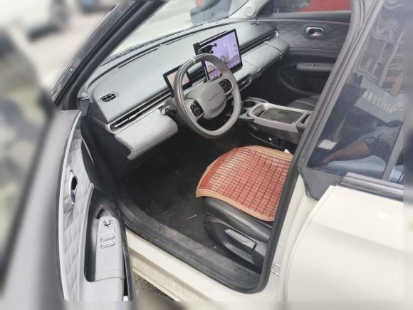 [湖州·浙E] 二手东风纳米纳米012024款 430 Plus