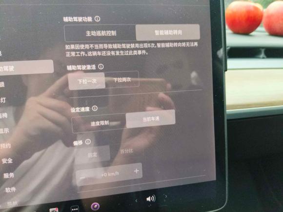 [上海·沪A] 二手特斯拉Model 32021款 标准续航后驱升级版 3D6