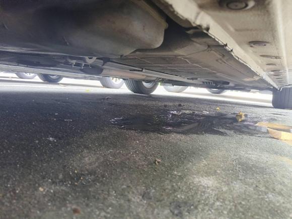 [佛山·川X] 二手日产轩逸2014款 1.6XV CVT尊享版