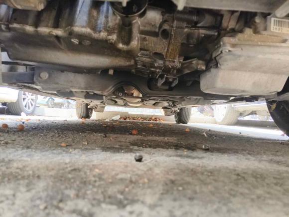 [苏州·苏E] 二手大众桑塔纳2016款 1.6L 自动风尚版