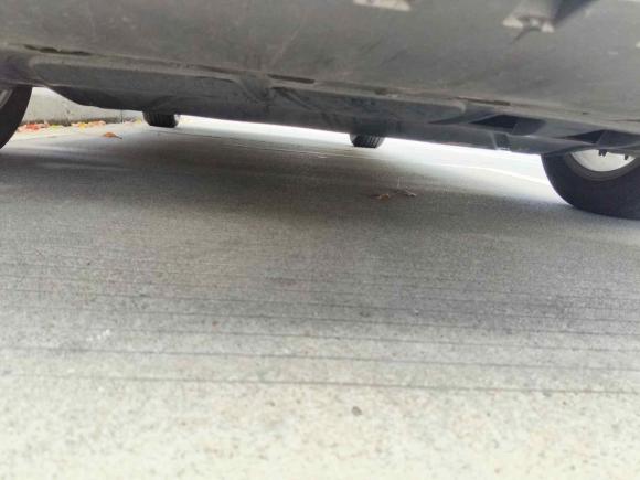 [苏州·皖R] 二手大众宝来2021款 1.5L 自动精英智联版