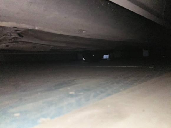 [苏州·苏E] 二手福特福克斯2015款 两厢 1.6L 自动风尚型