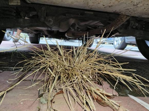 [合肥·皖A] 二手东南东南DX72016款 1.5T 手动凯旋版