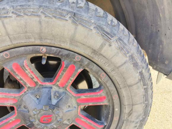 [青岛·鲁B] 二手福田大将军G92021款 2.0T野战大将军自动四驱运动版尊享型标箱4G20TI5