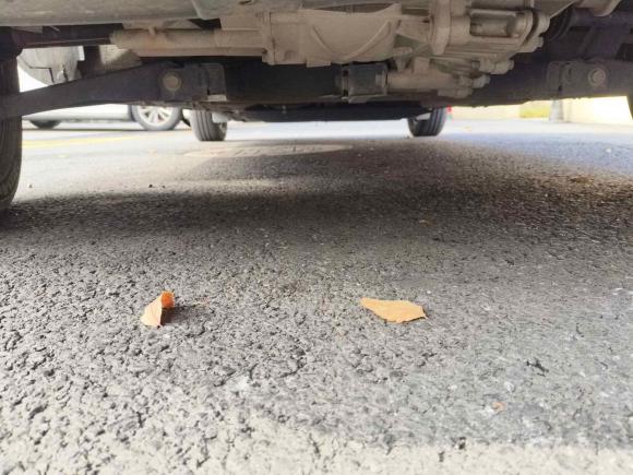 [杭州·浙A] 二手东风纳米纳米BOX2022款 追风版 331KM 标准型