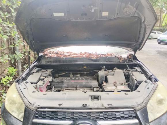 [上海·沪A] 二手丰田RAV4荣放2010款 2.0L 自动豪华升级版