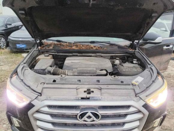 [上海·皖P] 二手上汽大通MAXUS上汽大通MAXUS D902017款 2.0T 自动四驱 天狼星