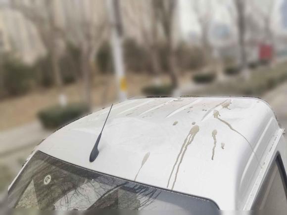 [济南·鲁A] 二手五菱汽车五菱之光小卡2019款 1.2L 单排