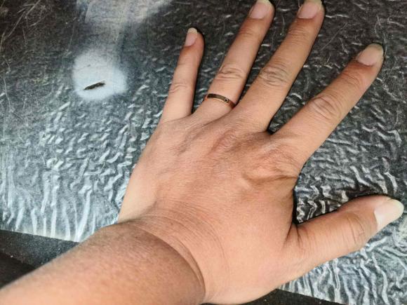 [合肥·皖A] 二手荣威荣威3602015款 1.5L 自动豪华版