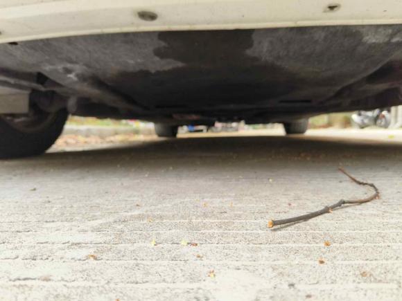 [台州·浙J] 二手宝马宝马5系GT2010款 535i 豪华型