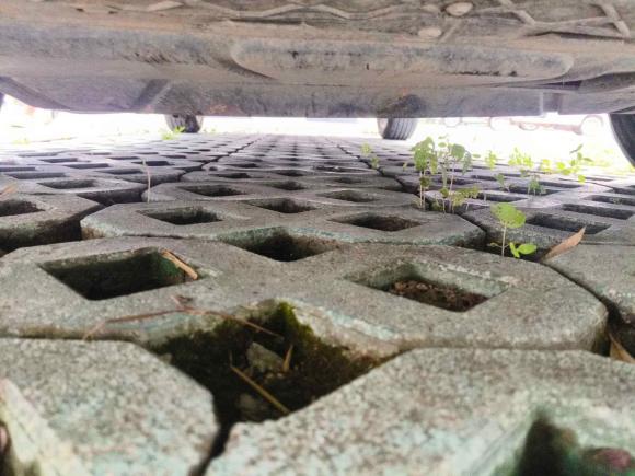 [义乌·浙G] 二手大众迈腾2020款 330TSI DSG 领先型