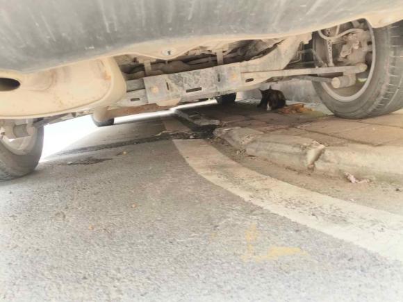 [合肥·皖C] 二手别克英朗2016款 15N 手动精英型