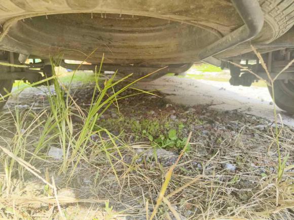 [上海·皖N] 二手金杯金杯快运2018款 2.0L标准型V19