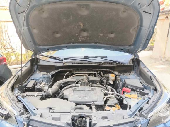 [上海·沪D] 二手斯巴鲁森林人2020款 2.0i 豪华版EyeSight