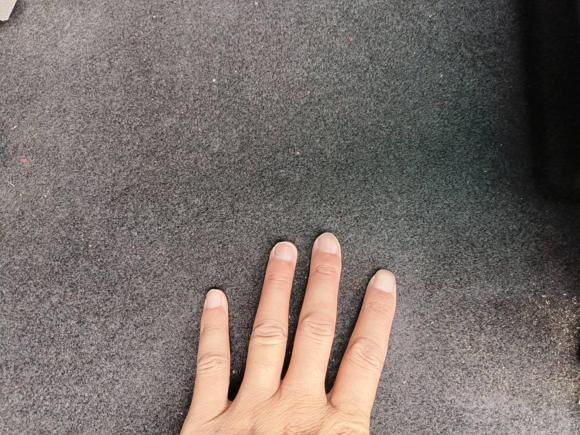 [合肥·苏N] 二手日产轩逸2021款 1.6L XL CVT悦享版