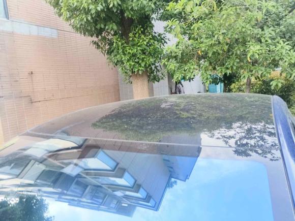 [苏州·浙A] 二手特斯拉Model S2017款 Model S 75D 标准续航版