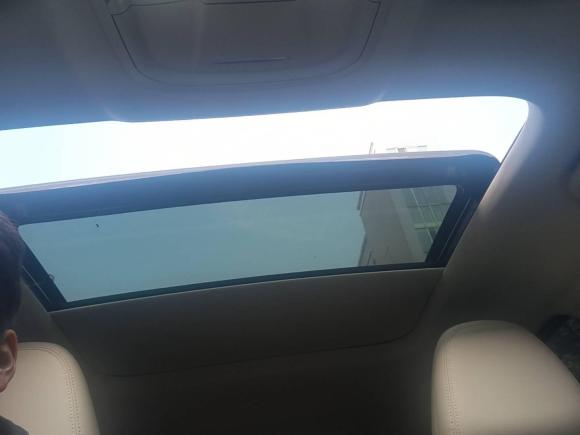 [杭州·浙A] 二手欧拉欧拉好猫2023款 501km长续航 尊贵型 磷酸铁锂