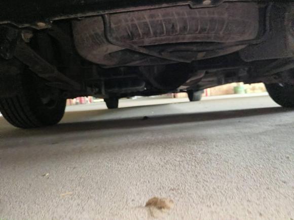 [上海·沪A] 二手东风风行菱智PLUS2021款 2.0L 手动舒适型 7座