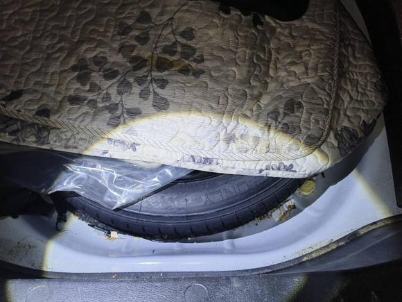 [宁波·浙B] 二手福特福克斯2012款 三厢 1.6L 自动舒适型