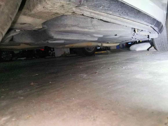 [佛山·粤C] 二手雷克萨斯雷克萨斯NX2015款 200t 全驱 锋尚版