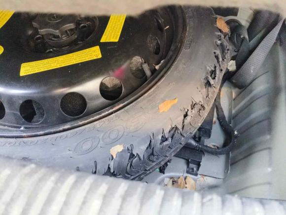 [嘉兴·浙F] 二手奥迪奥迪A6L2012款 30 FSI 技术型