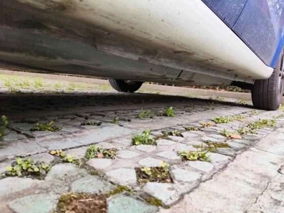 [嘉兴·浙F] 二手smartsmart forfour2016款 1.0L 52千瓦激情版