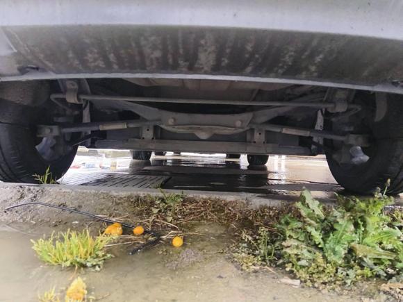 [嘉兴·浙F] 二手比亚迪秦PLUS2021款 EV 500KM 豪华型