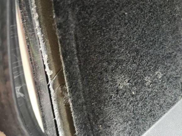 [湖州·浙E] 二手特斯拉Model Y2022款 改款 长续航全轮驱动版