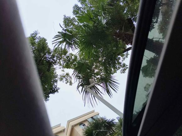 [上海·沪N] 二手本田型格2023款 2.0L e:HEV 锐·尊享版