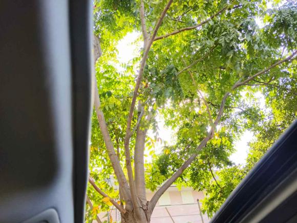 [上海·苏E] 二手马自达阿特兹2015款 2.0L 蓝天豪华版