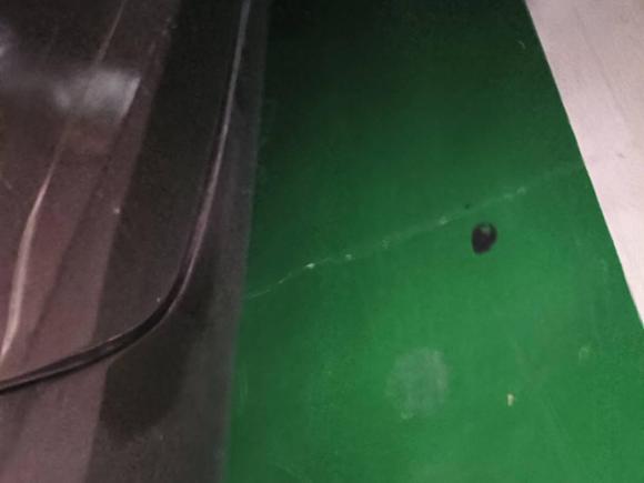 [济南·鲁A] 二手福特福睿斯2015款 1.5L 手动舒适型