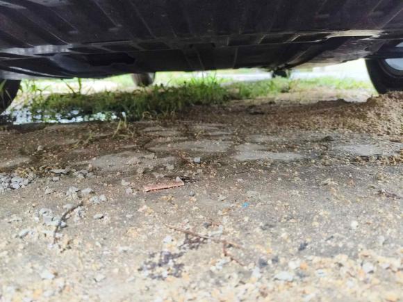 [南通·苏U] 二手日产轩逸2022款 1.6L XL CVT悦享版