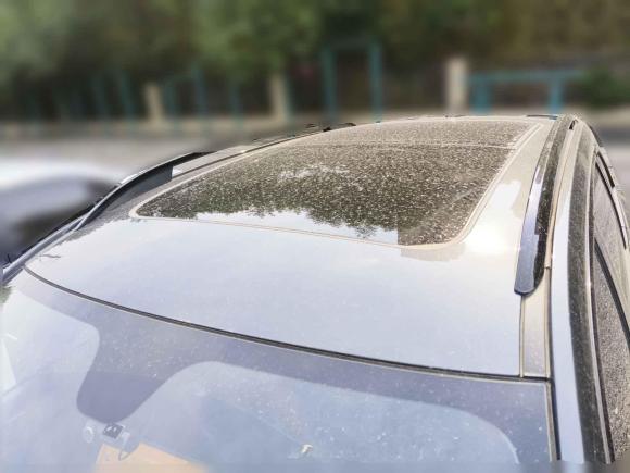 [济南·鲁A] 二手荣威荣威RX52021款 PLUS 330TGI 自动国潮智享版