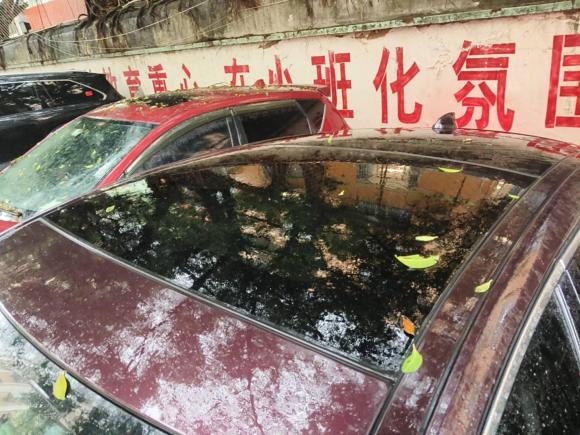 [深圳·粤B] 二手捷豹捷豹XFL2018款 XFL 2.0T 250PS 豪华版