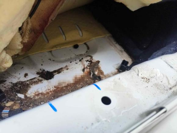 [南昌·赣A] 二手福特福睿斯2015款 1.5L 自动时尚型