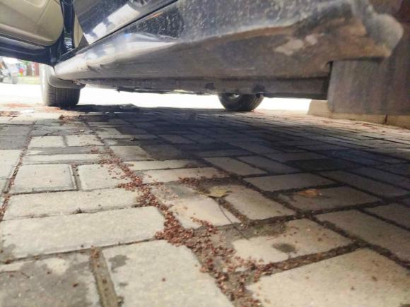 [南昌·赣A] 二手本田雅阁2012款 2.0L SE