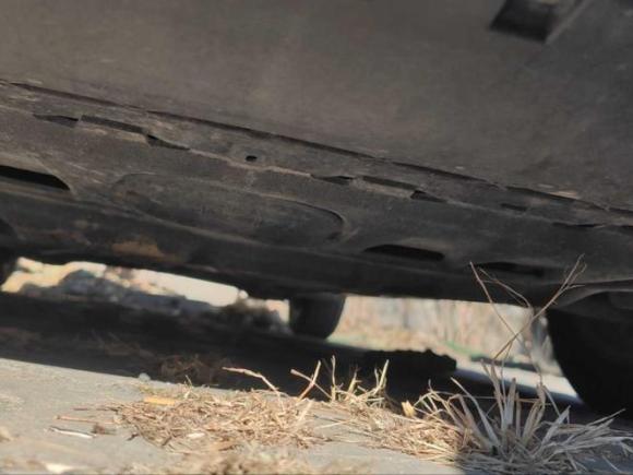 [北京·冀R] 二手大众宝来2019款 1.5L 自动时尚型