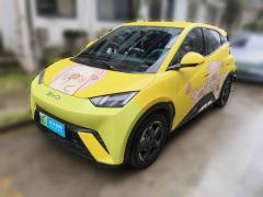 [温州·浙C] 比亚迪海鸥2023款 自由版