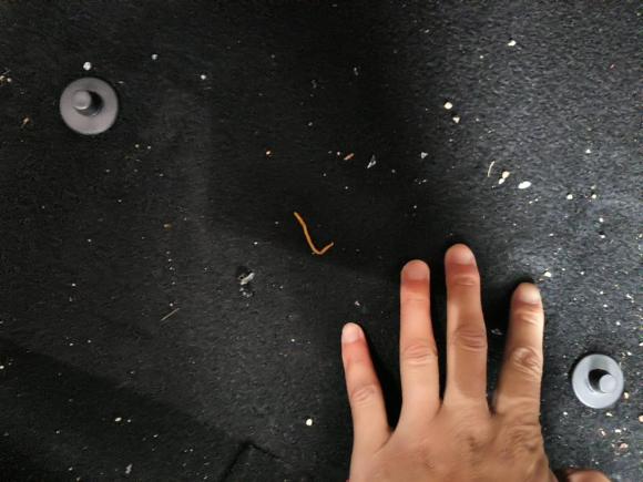 [合肥·皖A] 二手大众朗逸2018款 280TSI DSG舒适版 国V